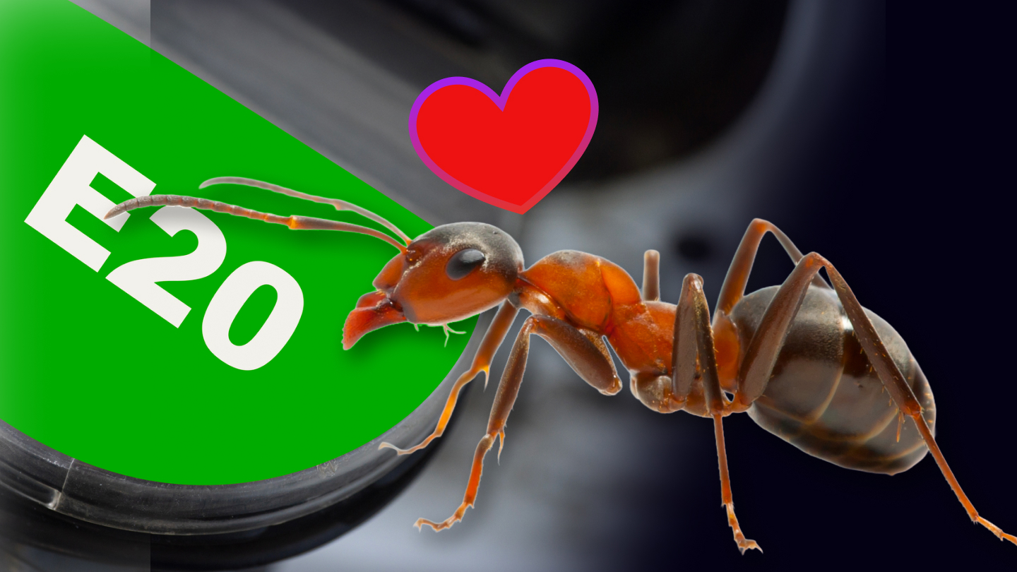 Mrówki lgną do E20? Producent zabrał głos