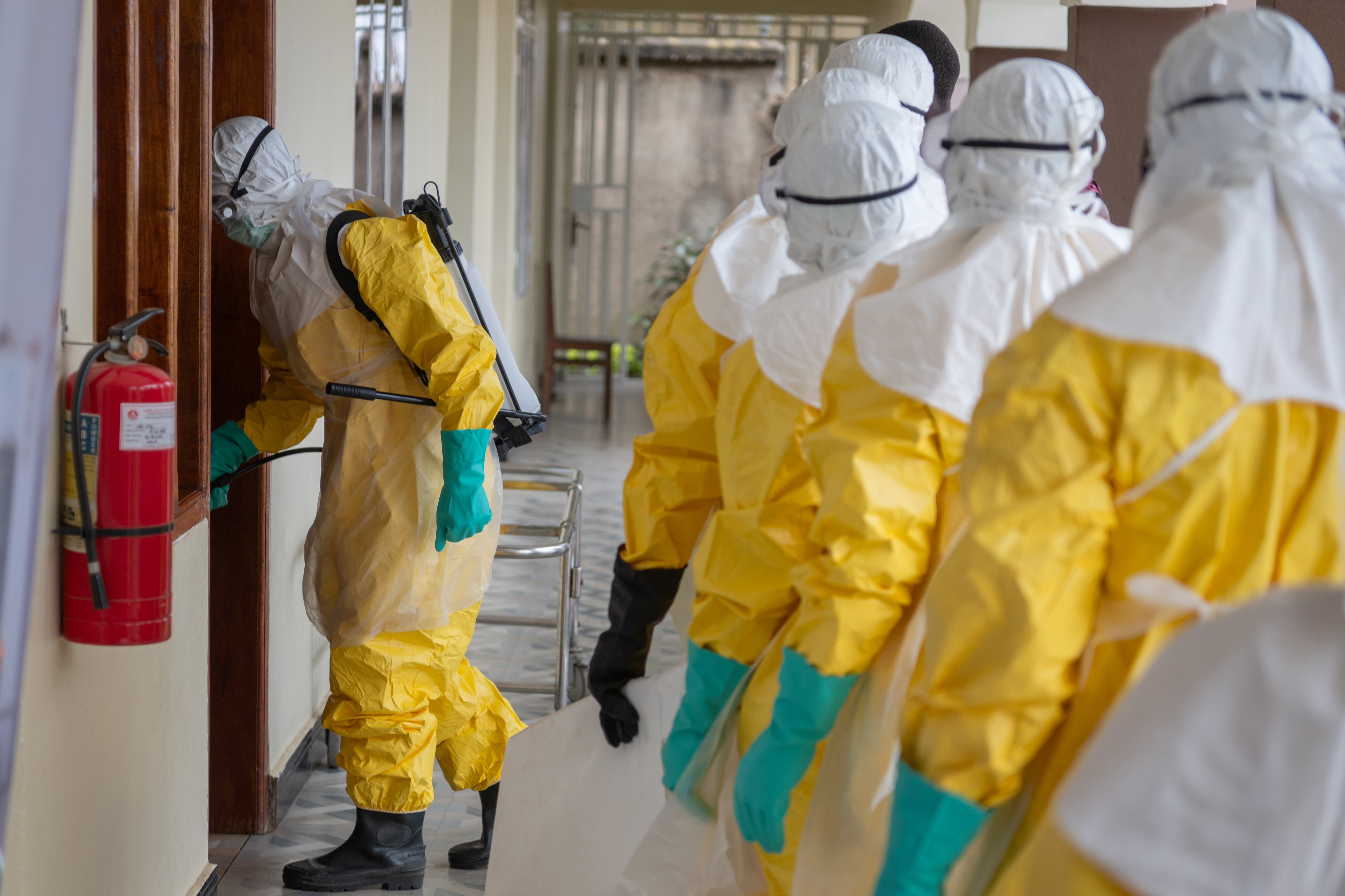 WHO: walka z ebolą i dezinformacją