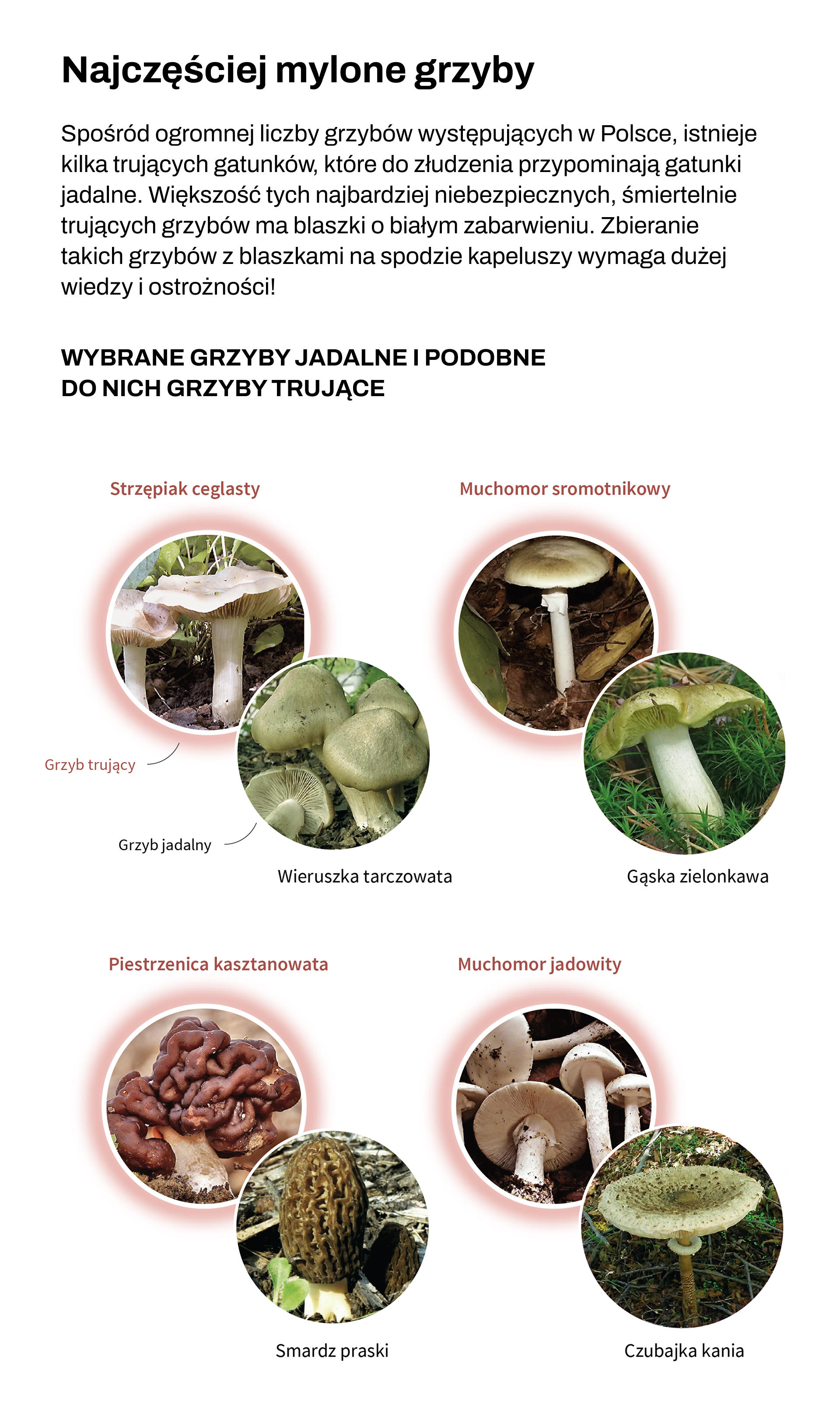 źródło: PAP