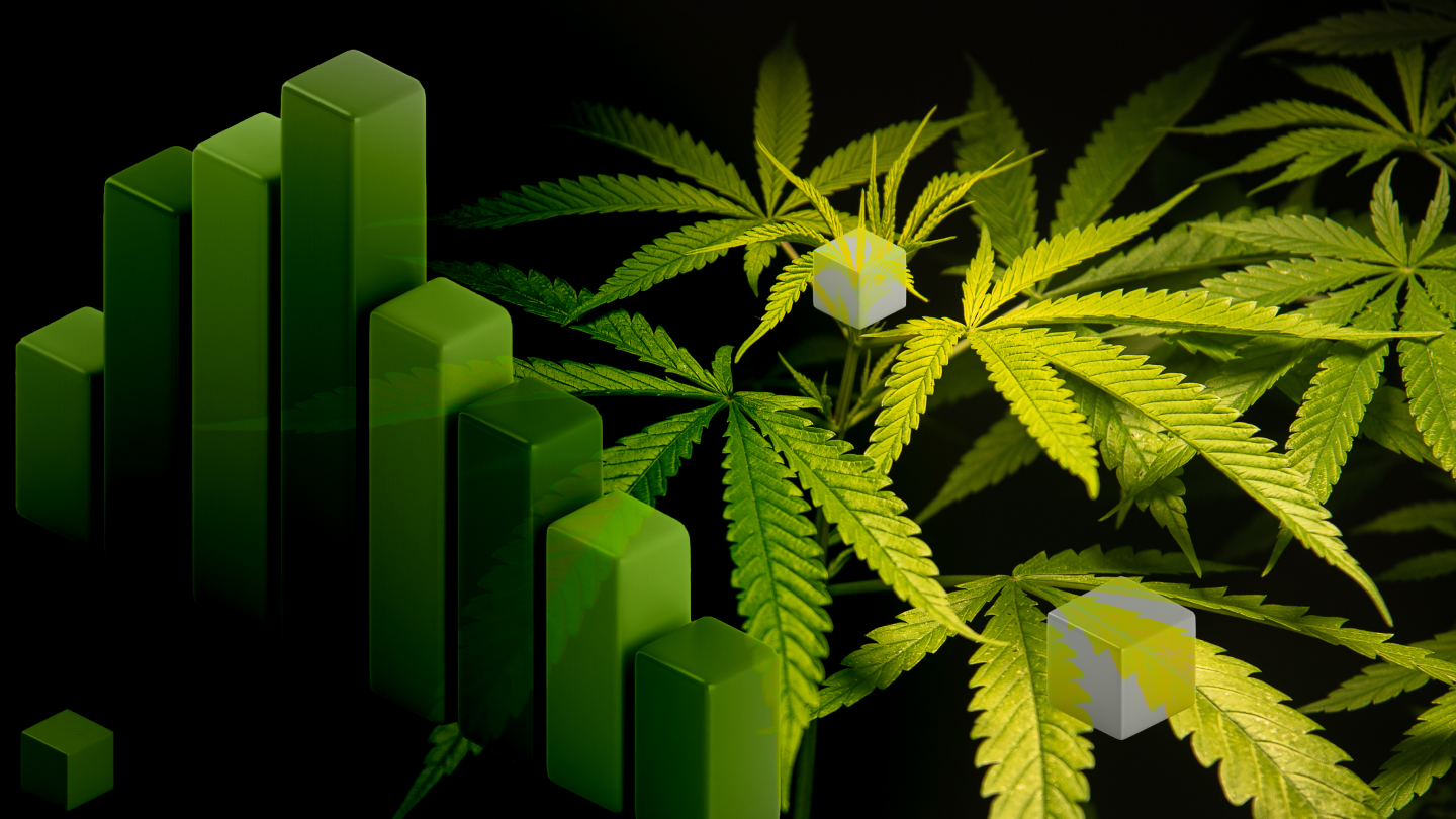 Czy marihuana naprawdę redukuje stres? Weryfikujemy 