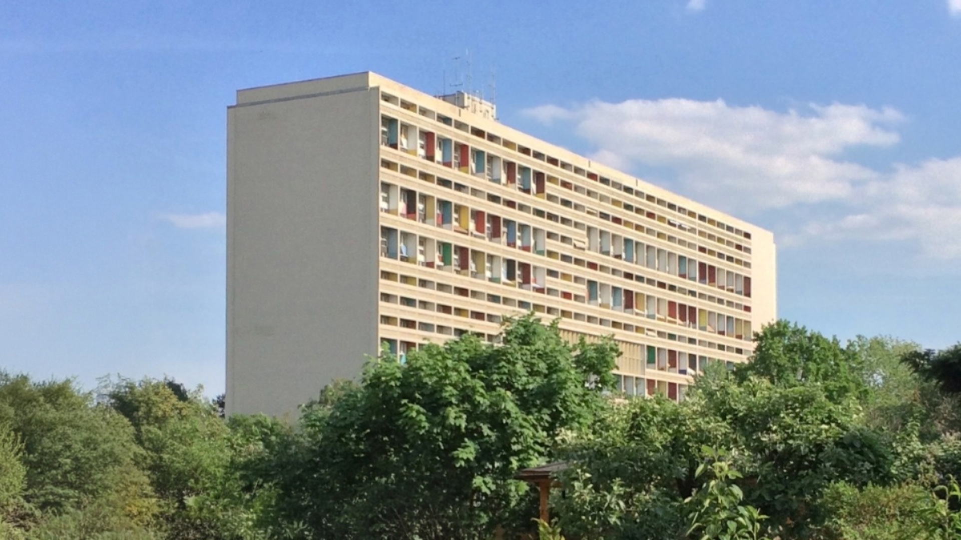 fot. Wikimedia Commons