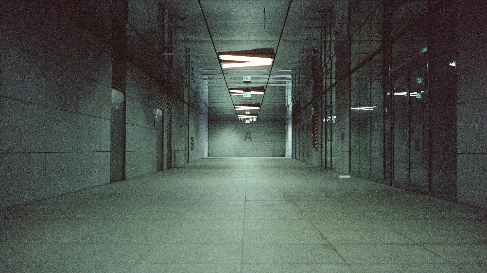 fot. Unsplash