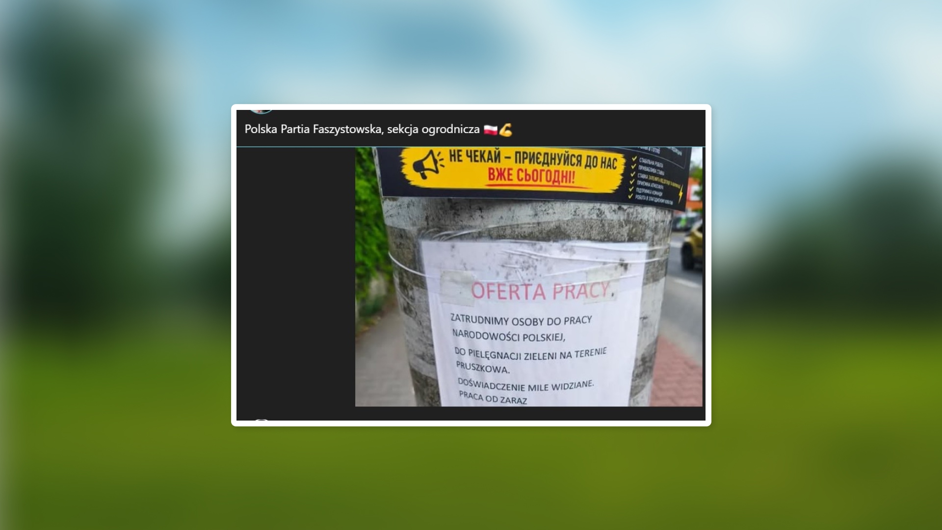 Napisał: „tylko dla obywateli narodowości polskiej” i wywołał burzę. A przepisy? Miał rację
