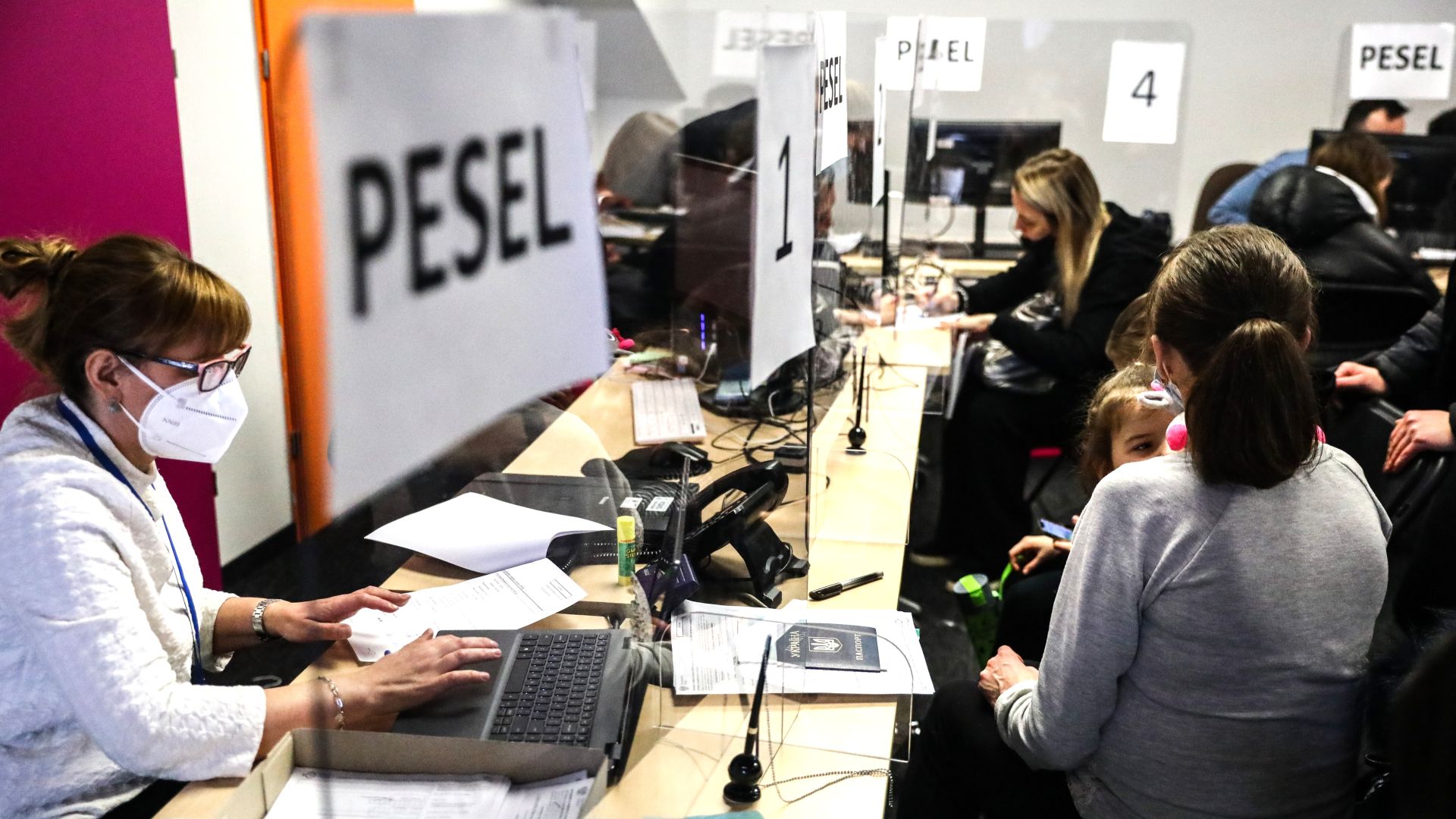 Ukraińcy z podwójnymi numerami PESEL? MSWiA odpowiada na słowa Skalika