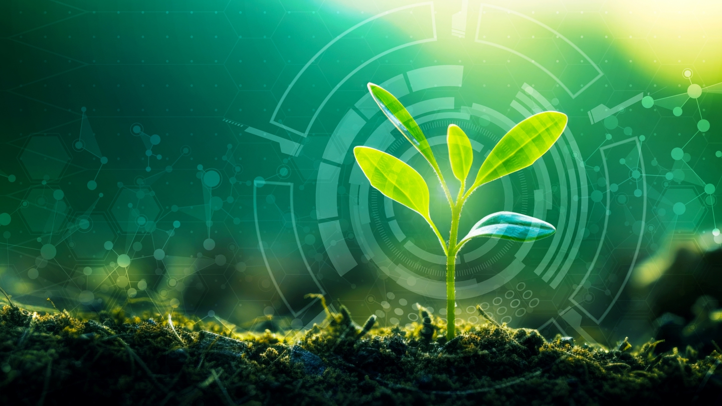 Listek figowy kapitalizmu. Jak działa greenwashing?