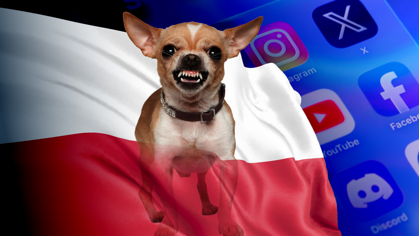 Tak politycy osłabiają w sieci odporność społeczną Polaków